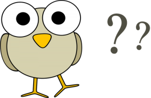 googley-eye-birdie-has-questions